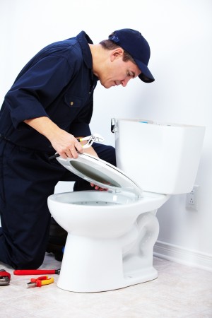 15396084 - professional plumber